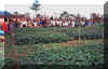 Open field day .jpg (64889 bytes)